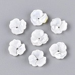 Natural White Shell Beads, Flower, Seashell Color, 10x10x3mm, Hole: 1mm(BSHE-T014-50)