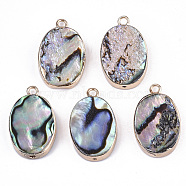 Natural Paua Shell Pendants, with Edge Brass Golden Plated and Iron Loops, Half Drilled, Oval, 21x13x4.5mm, Hole: 1~1.8mm(SSHEL-R045-05)