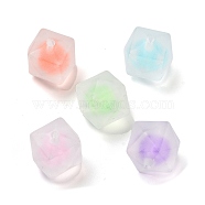 Transparent Acrylic Beads, Bead in Beads, Frosted, Mixed Color, 15x15x15.5mm, Hole: 2mm, about 219pcs/500g(OACR-A032-10)