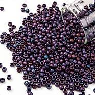 TOHO Round Seed Beads, Japanese Seed Beads, (704) Matte Color Andromeda, 8/0, 3mm, Hole: 1mm, about 222pcs/bottle, 10g/bottle(SEED-JPTR08-0704)