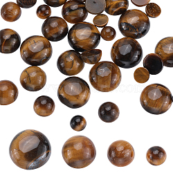 40Pcs 4 Styles Natural Tiger Eye Cabochons, Half Round/Dome, 6~12x3~5mm, 10pcs/style(G-SC0002-48)