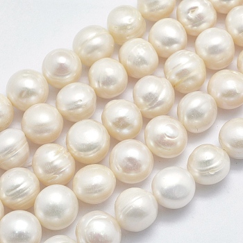 Natural Cultured Freshwater Pearl Beads Strands, Potato, Beige, 11~13.5mm, Hole: 0.8mm, about 30~31pcs/strand, 34~35cm