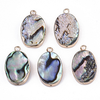 Natural Paua Shell Pendants, with Edge Brass Golden Plated and Iron Loops, Half Drilled, Oval, 21x13x4.5mm, Hole: 1~1.8mm
