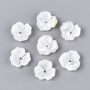 Natural White Shell Beads, Flower, Seashell Color, 10x10x3mm, Hole: 1mm