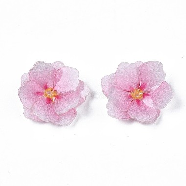 Perles en plastique(X-KY-N015-032)-2