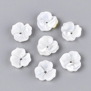 Natural White Shell Beads(BSHE-T014-50)-1