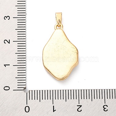 Brass Enamel Pendants(KK-S502-06G)-3