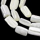 Natural Trochid Shell/Trochus Shell Beads Strands(SH-CBA2978-20A)-2