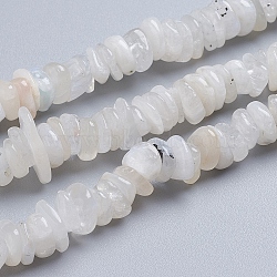 Natural Rainbow Moonstone Strands, Chip, 11~17x9~11x2~4mm, Hole: 0.9mm, about 124pcs/strand, 15.75 inch(40cm)(X-G-G841-B07)