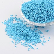 12/0 Grade A Baking Paint Glass Seed Spacer Beads, Sky Blue, 2x1.5mm, Hole: 0.7mm, about 2840pcs/50g(X-SEED-Q009-FJX08)