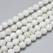 Natural Rainbow Moonstone Beads Strands, Faceted, Round, 6mm, Hole: 0.8mm, about 59pcs/strand, 15.7 inch(40cm)(G-G792-34A)