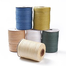 (Defective Closeout Sale: Spool Broken)Raffia Paper Cords, Paper Twine, for Gifts Wrapping, DIY Craft Decoration Weaving, Mixed Color, 8~8.5mm, about 328.08 Yards(300m)/Roll(OCOR-XCP0001-40)