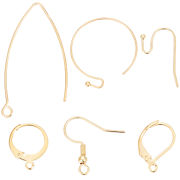 60Pcs 6 Style 304 Stainless Steel & Brass Earring Findings, Leverback Earring Findings & Earring Hooks, Real 18K Gold Plated, 14.5~39.5x10~24mm, 10Pcs/style