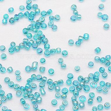 6/0 Round Glass Seed Beads(X-SEED-J011-F6-179)-3