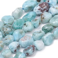 Natural Larimar Beads Strands, Nuggets, Tumbled Stone, 8~10x8~9x5.5~6mm, Hole: 0.5mm, about 43pcs/strand, 15.55 inch(39.5cm)(G-L493-37)