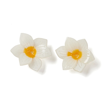 Opaque Resin Bead Caps, Multi-Petal, Flower, White, 22.8x20x9mm, Hole: 1mm