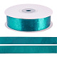 1 Roll Imitation Leather Polyester Ribbon(LC-TA0001-02A)-1
