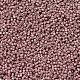 MIYUKI Delica Beads(X-SEED-J020-DB1166)-3