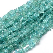 Natural Apatite Chip Beads Strands, 5~14x4~10mm, Hole: 1mm, about 15.5 inch~16.1 inch(G-E271-80)