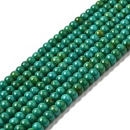 Natural Howlite Beads Strands, Dyed, Rondelle, Sea Green, 6~6.5x4~4.5mm, Hole: 1mm, about 90pcs/strand, 15.55~15.67''(39.5~39.8cm)(G-B049-B01-01A)