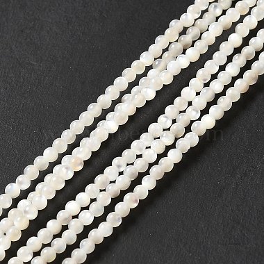 Natural White Shell Beads Strands(SHEL-G014-14)-2
