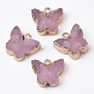 Druzy Resin Pendants, with Edge Light Gold Plated Iron Loops, Butterfly, Pale Violet Red, 14.5x16x6.5mm, Hole: 1.8mm(RESI-R428-017F)