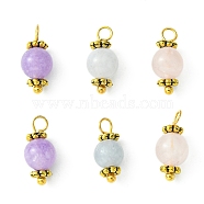 Natural Mixed Gemstone Round Charms, with Antique Golden Plated Alloy Daisy Spacer Beads and Brass Loops, Mixed Color, 14x6mm, Hole: 2mm(PALLOY-JF02219)