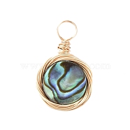 Natural Abalone Shell/Paua Shell Pendants, with Copper Wire, Flat Round, Real 18K Gold Plated, 17x10.5x2.5mm, Hole: 3mm(PALLOY-JF00457-01)