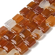 Natural Red Agate Beads Strands, Dyed & Heated, Square, with Seed Beads, 10~10.5x10~10.5x5~5.5mm, Hole: 1.6mm, about 32pcs/strand, 15.16~15.35 inch(38.5~39cm)(G-L596-A21-01)