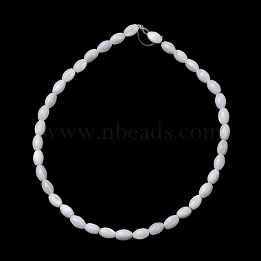 Natural Freshwater Shell Beads Strands(SH-CBA2978-06A)-3