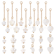 48Pcs 12 Styles Natural Freshwater Shell Pendants, Natural Trochid Shell/Trochus Shell Charms, with Golden Tone Brass Chain, Moon & Star & Heart & Flower, Golden, 17~52mm, Hole: 3.5mm, 4pcs/style(PALLOY-AB00023)