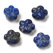 Natural Lapis Lazuli Carved Beads, 5-Petal Flower, 13x14.5x7mm, Hole: 1mm(G-P550-11)