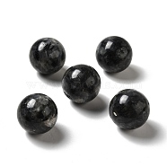 Natural Larvikite Beads, No Hole/Undrilled, Round, 25~25.5mm(G-A206-02-05)