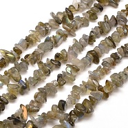 Natural Labradorite Chip Bead Strands, 5~8x5~8mm, Hole: 1mm, about 31.5 inch(X-G-M205-13)