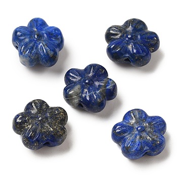 Natural Lapis Lazuli Carved Beads, 5-Petal Flower, 13x14.5x7mm, Hole: 1mm