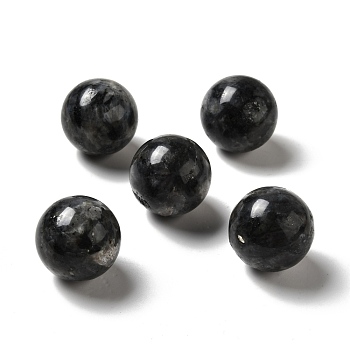 Natural Larvikite Beads, No Hole/Undrilled, Round, 25~25.5mm
