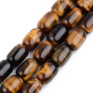 Natural Tiger Eye Beads Strands, Barrel, 13~14x10mm, Hole: 1.5mm, about 28pcs/strand, 15.16 inch(38.5cm)(G-S359-130)