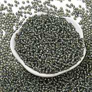 TOHO Round Seed Beads, Japanese Seed Beads, (29B) Silver Lined Gray, 8/0, 3mm, Hole: 1mm, about 10000pcs/pound(SEED-TR08-0029B)