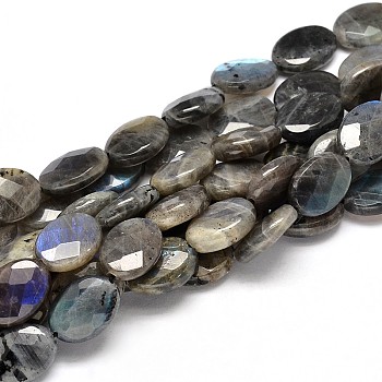 Flat Oval Natural Labradorite Bead Strands, Faceted, 18x13x6mm, Hole: 1mm, about 21pcs/strand, 15.74 inch
