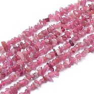 Natural Red Tourmaline Beads Strands, Chip, 3~6x1~3mm, Hole: 0.7mm, about 15.55 inch(39.5cm)(G-L550B-01)