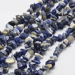 Natural Sodalite Beads Strands, chip, Blue, 3~5x7~13x2~4mm, Hole: 0.4mm, 31.5 inch(G-F328-25)