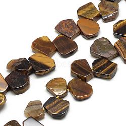 Natural Tiger Eye Beads Strands, Fan, 16~24x12~22x5~8mm, Hole: 1mm(G-R424-03)