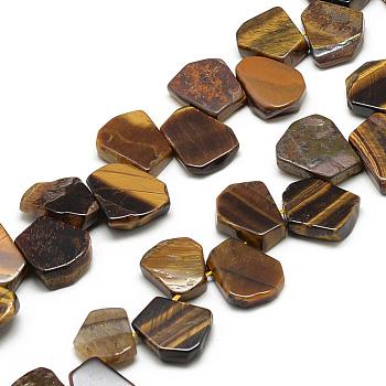 Natural Tiger Eye Beads Strands, Fan, 16~24x12~22x5~8mm, Hole: 1mm