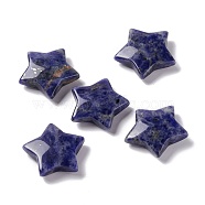 Natural Sodalite Beads, No Hole/Undrilled Beads, Star, 29.5x31~31.5x7~8mm(G-E574-01I)