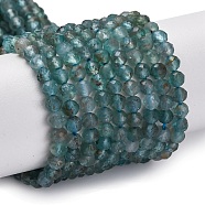 Natural Apatite Beads Strands, Faceted, Round, 4mm, Hole: 0.8mm, about 91pcs/strand, 15.24~15.35 inch(38.7~39cm)(G-F748-J01-02A)