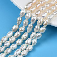 Natural Cultured Freshwater Pearl Beads Strands, Rice, Seashell Color, 7.5~10.5x5~6mm, Hole: 0.7mm, about 20~21pcs/strand, 6.85 inch~7.09 inch(17.4cm~18cm)(X-PEAR-N012-05D)