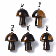 Natural Tiger Eye Pendants, with Stainless Steel Snap On Bails, Mushroom Shaped, 24~25x16mm, Hole: 5x3mm(X-G-N0325-10A)