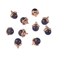 Cat Eye Charms, with Golden Tone Brass Findings, Round Charm, Black, 10mm(FIND-SZC0010-616)