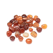 Natural Agate Beads, No Hole/Undrilled, Tumbled Stone, Vase Filler Gems, Dyed & Heated, Nuggets, 6~13mm, about 610pcs/1000g(G-L476-15B)