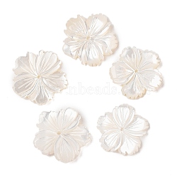 Natural White Shell Beads, Flower, Seashell Color, 19.5x20x2.5mm, Hole: 1mm(SSHEL-C012-23B)